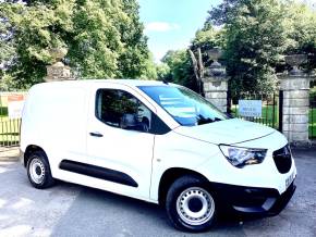 VAUXHALL COMBO CARGO 2019 (19) at Countryside Commercials  Selby